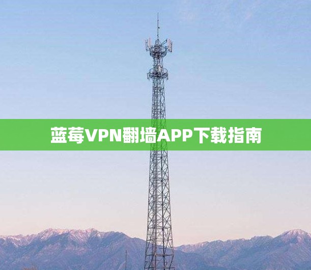 蓝莓VPN翻墙APP下载指南