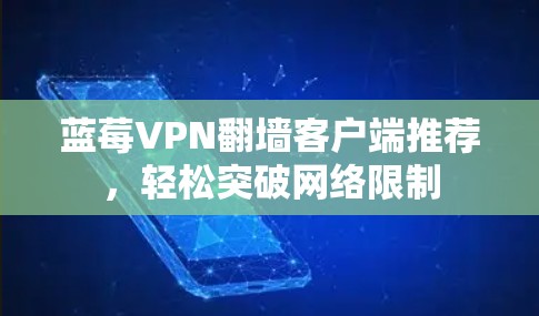 蓝莓VPN翻墙客户端推荐，轻松突破网络限制