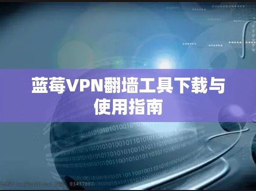 蓝莓VPN翻墙工具下载与使用指南