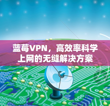 蓝莓VPN，高效率科学上网的无缝解决方案