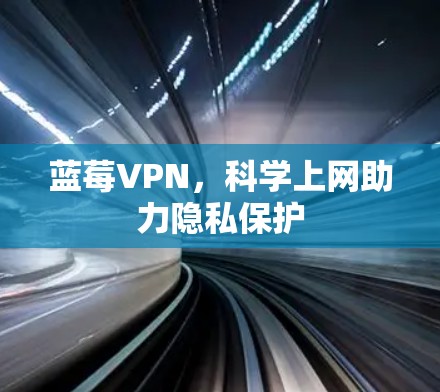蓝莓VPN，科学上网助力隐私保护