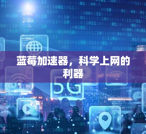 蓝莓加速器，科学上网的利器