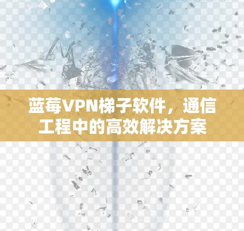 蓝莓VPN梯子软件，通信工程中的高效解决方案