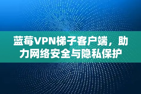 蓝莓VPN梯子客户端，助力网络安全与隐私保护