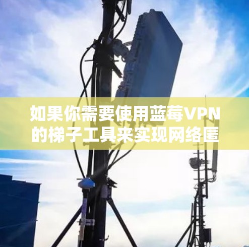如果你需要使用蓝莓VPN的梯子工具来实现网络匿名或其他功能，以下是一些常见的梯子工具推荐和使用方法