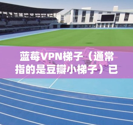 蓝莓VPN梯子（通常指的是豆瓣小梯子）已经被中国网络管理部门封锁，因此无法正常使用。如果你需要绕过网络限制，可以考虑以下替代方案