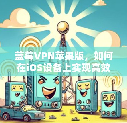蓝莓VPN苹果版，如何在iOS设备上实现高效网络解决方案