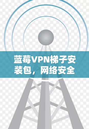 蓝莓VPN梯子安装包，网络安全的强大保障