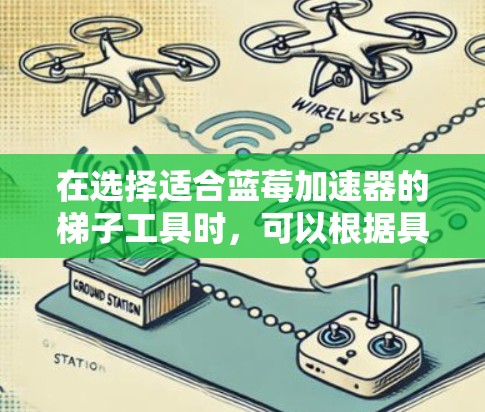 在选择适合蓝莓加速器的梯子工具时，可以根据具体需求和目标进行判断。以下是几款常见工具的推荐及其适用场景