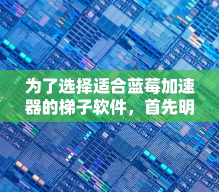 为了选择适合蓝莓加速器的梯子软件，首先明确蓝莓加速器的具体功能和需求，然后根据这些需求选择合适的梯子软件类型。以下是逐步的建议步骤