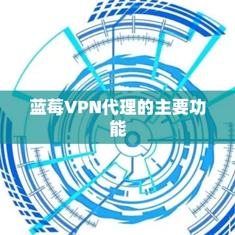 蓝莓VPN代理的主要功能