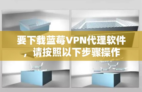 要下载蓝莓VPN代理软件，请按照以下步骤操作
