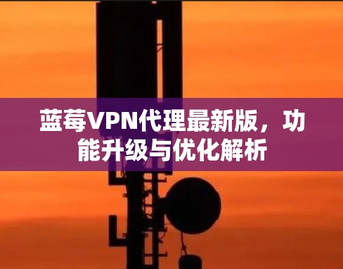 蓝莓VPN代理最新版，功能升级与优化解析