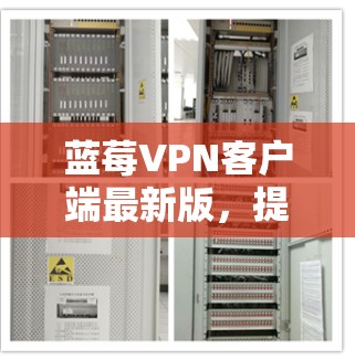 蓝莓VPN客户端最新版，提升网络安全与隐私保护能力