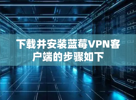 下载并安装蓝莓VPN客户端的步骤如下