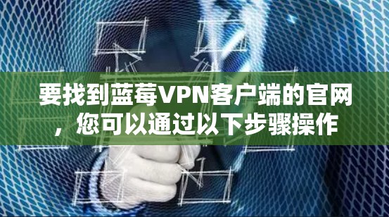 要找到蓝莓VPN客户端的官网，您可以通过以下步骤操作