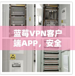 蓝莓VPN客户端APP，安全高效的网络通信解决方案