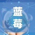 蓝莓VPN客户端升级释放新功能
