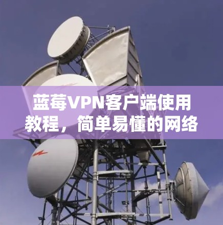 蓝莓VPN客户端使用教程，简单易懂的网络安全解决方案