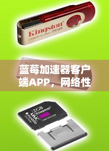 蓝莓加速器客户端APP，网络性能的革命性加速解决方案