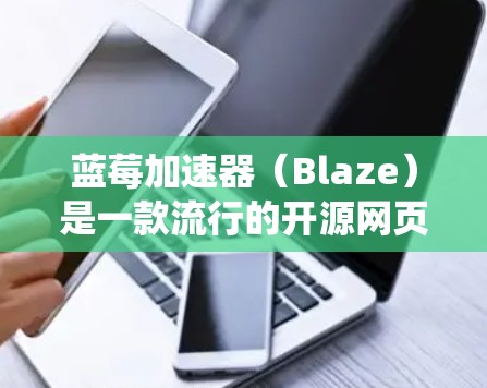 蓝莓加速器（Blaze）是一款流行的开源网页性能测试工具，旨在帮助开发者测试和优化网站的加载速度。虽然蓝莓加速器本身主要是为桌面操作系统设计的，但也有针对安卓的客户端版本可供使用