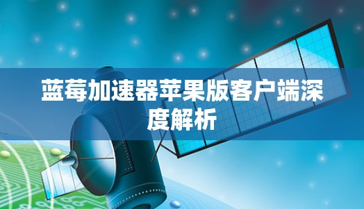 蓝莓加速器苹果版客户端深度解析