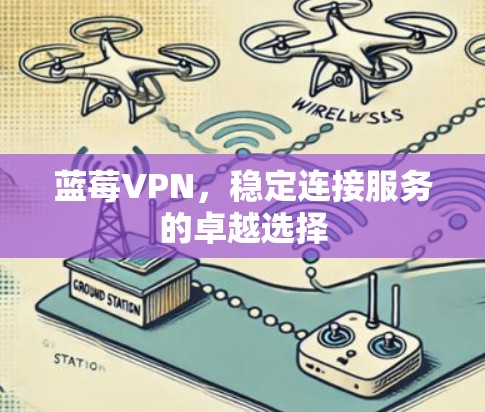 蓝莓VPN，稳定连接服务的卓越选择