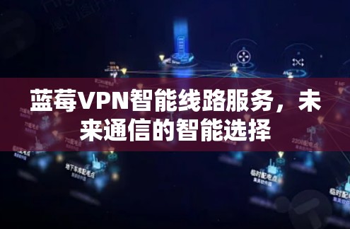 蓝莓VPN智能线路服务，未来通信的智能选择