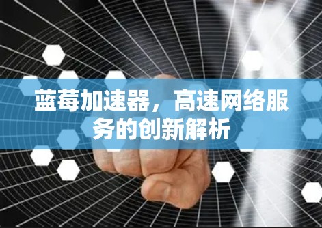 蓝莓加速器，高速网络服务的创新解析