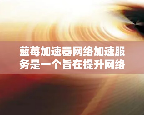 蓝莓加速器网络加速服务是一个旨在提升网络连接速度和性能的工具，适用于个人用户和企业用户。以下是对该服务的详细分析和总结