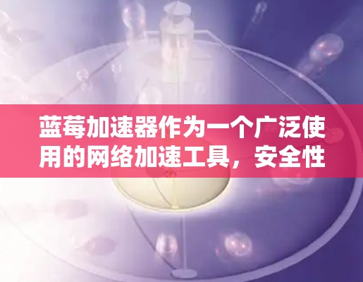 蓝莓加速器作为一个广泛使用的网络加速工具，安全性是其设计的重要组成部分。以下是蓝莓加速器安全网络服务的详细分析