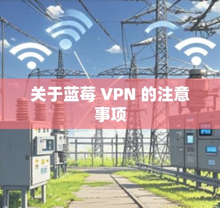 关于蓝莓 VPN 的注意事项