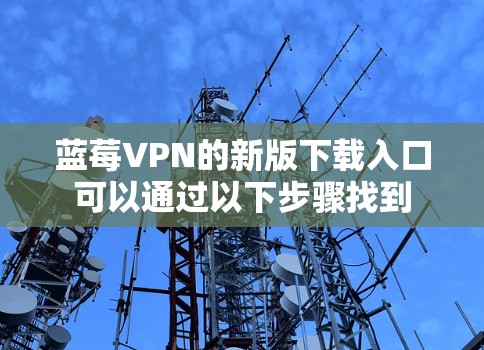 蓝莓VPN的新版下载入口可以通过以下步骤找到