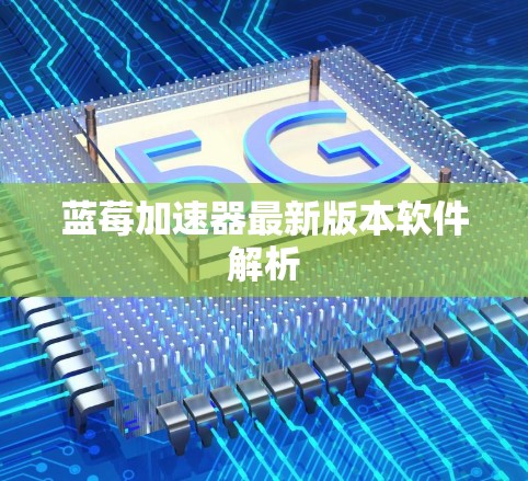 蓝莓加速器最新版本软件解析