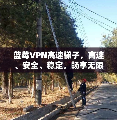 蓝莓VPN高速梯子，高速、安全、稳定，畅享无限网速
