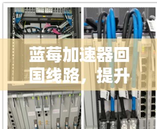蓝莓加速器回国线路，提升网络性能的关键