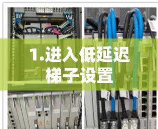 1.进入低延迟梯子设置