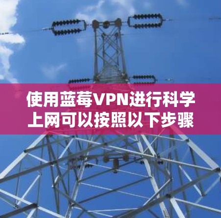 使用蓝莓VPN进行科学上网可以按照以下步骤进行