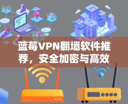 蓝莓VPN翻墙软件推荐，安全加密与高效连接的完美选择