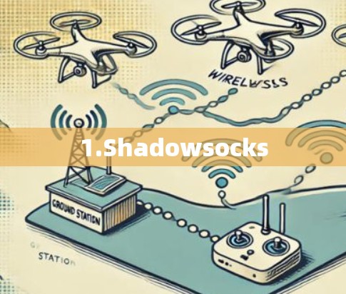 1.Shadowsocks