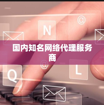 国内知名网络代理服务商