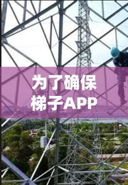 为了确保梯子APP的线路测试顺利进行，并确保系统的稳定性和用户体验，以下是分步骤的测试计划和建议