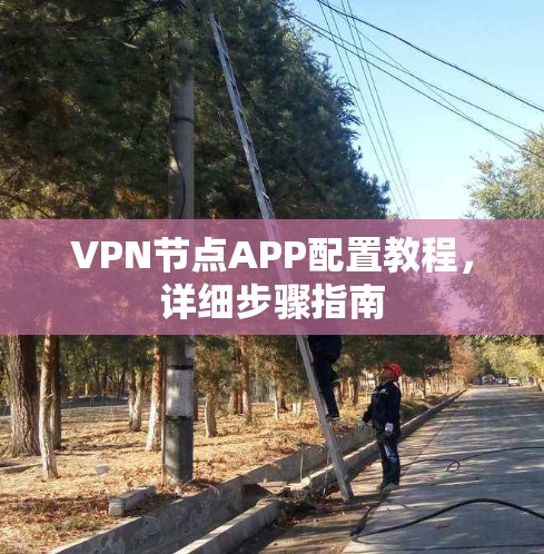 VPN节点APP配置教程，详细步骤指南