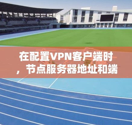 在配置VPN客户端时，节点服务器地址和端口是关键配置参数。以下是关于如何找到并配置这些信息的详细指南