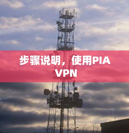 步骤说明，使用PIA VPN