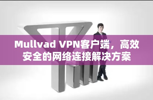 Mullvad VPN客户端，高效安全的网络连接解决方案