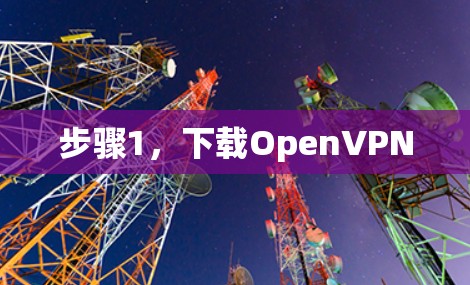 步骤1，下载OpenVPN