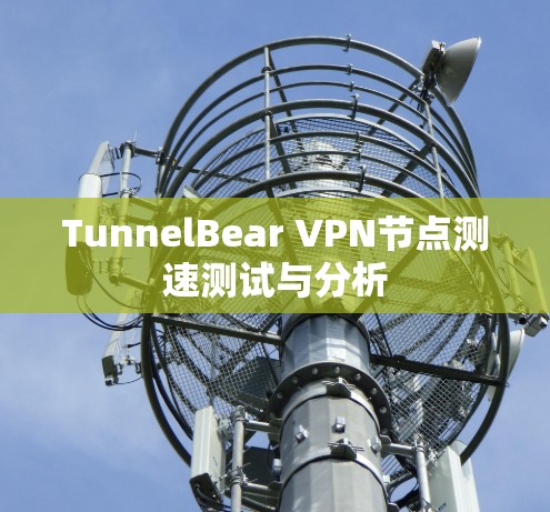 TunnelBear VPN节点测速测试与分析