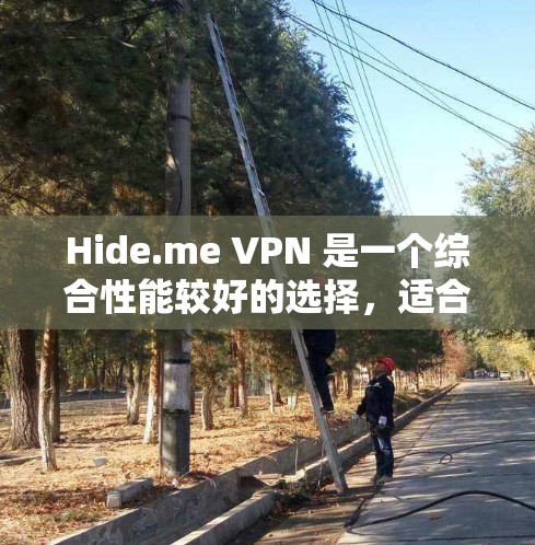 Hide.me VPN 是一个综合性能较好的选择，适合追求安全性和隐私保护的用户。以下是对其的详细分析和总结