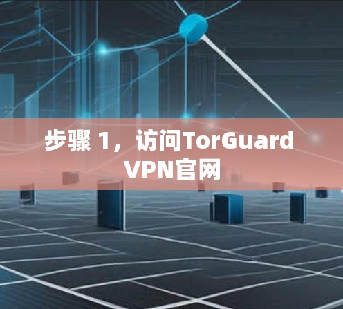 步骤 1，访问TorGuard VPN官网